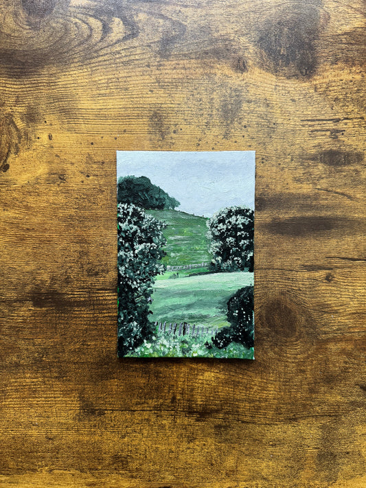 Blooming Trees on Farmland Original Painting