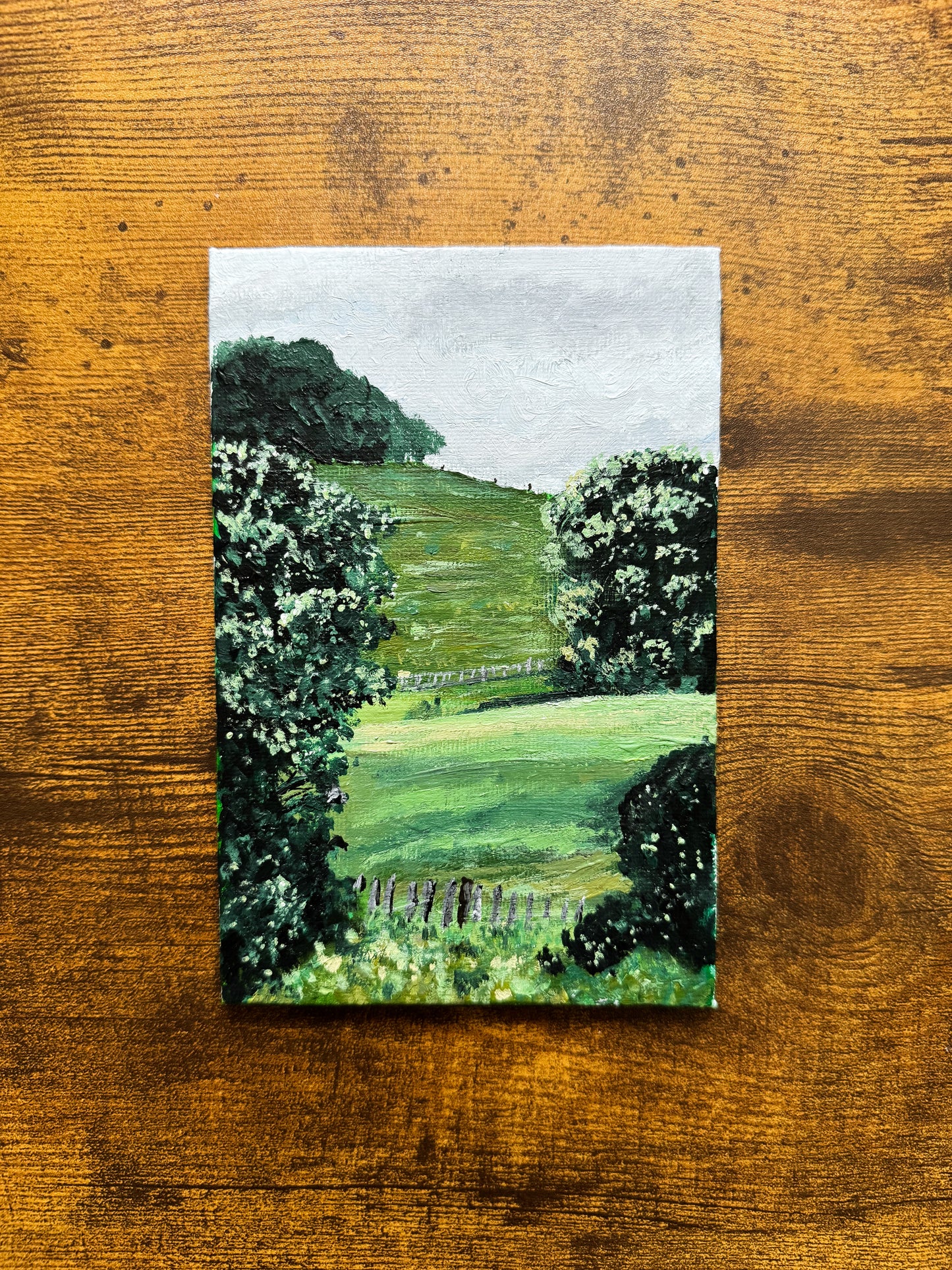 Blooming Trees on Farmland Original Painting