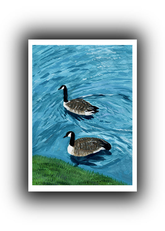 Geese in the Pond Print